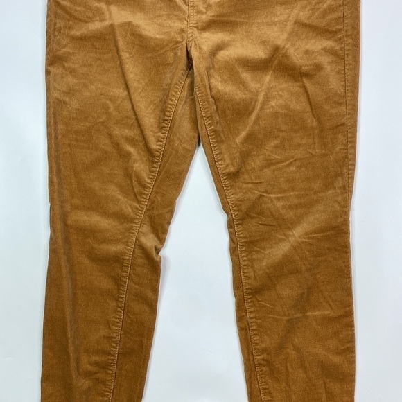 Loft Outlet Light Brown Corduroy Hi Rise Skinny Pants Size 16 - Picture 3 of 13